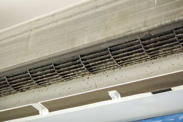 Best HVAC Air Duct Cleaning  in Grafton, ND